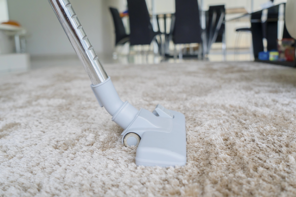 Carpet Cleaning Process